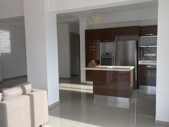 2+1 Penthouse for Rent in Metehan 