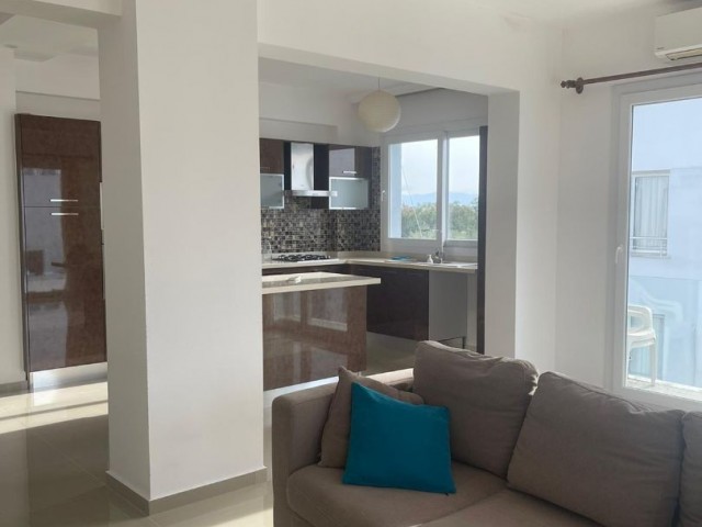 2+1 Penthouse for Rent in Metehan 