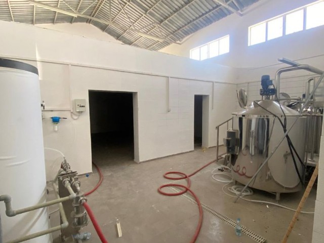 Bierproduktionsfabrik zum Verkauf in der Nikosia-Industrie