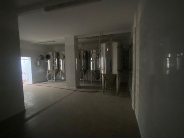 Beer Production Factory For Sale In Nicosia Industry