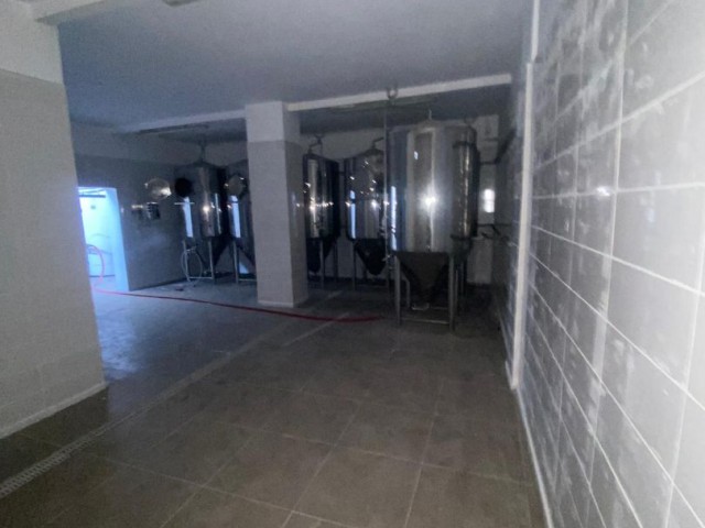 Beer Production Factory For Sale In Nicosia Industry