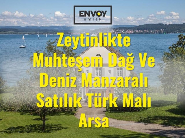 Zeytinlikte Muhteşem Dağ Ve Deniz Manzaralı Türk Malı Satılık Arsa