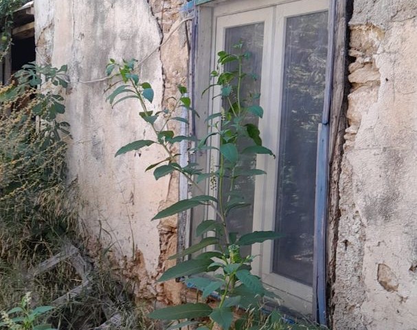 Turkish Made Old Village House in the Village in Ozanköy