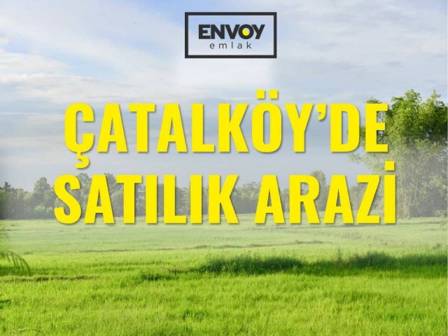 Çatalköy'de Satılık Arazi