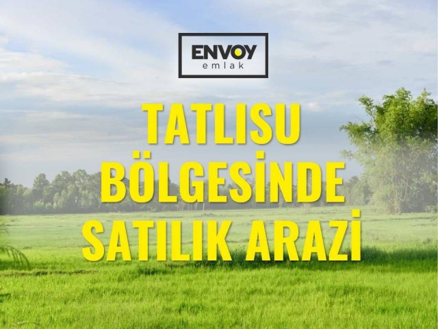 Tatlısu Bölgesinde Satılık Arazi