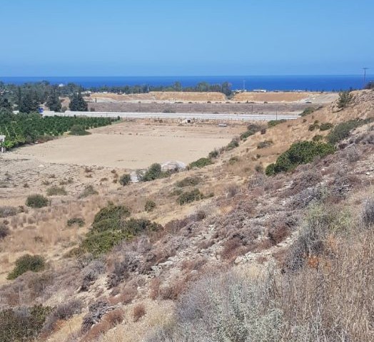 Land With Turkish Title For Sale In Lefke