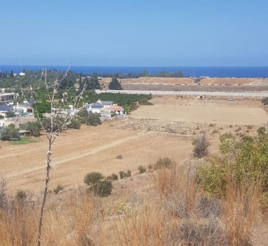 Land With Turkish Title For Sale In Lefke