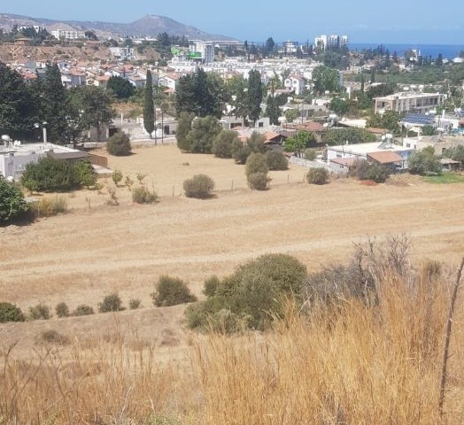 Land With Turkish Title For Sale In Lefke