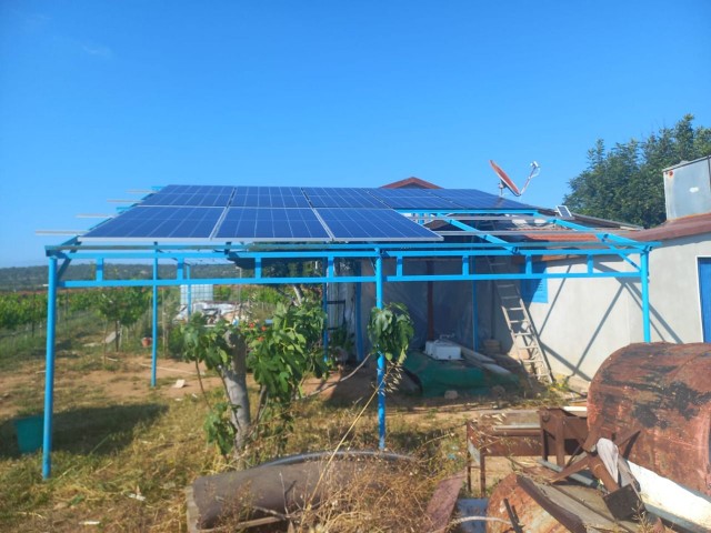 Grape Field for Sale in Akdeniz Village