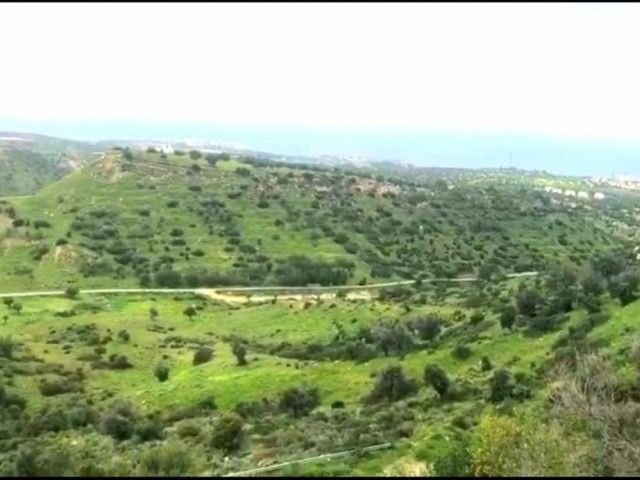 Выгодная земля с турецким правом собственности на продажу в районе Алагади