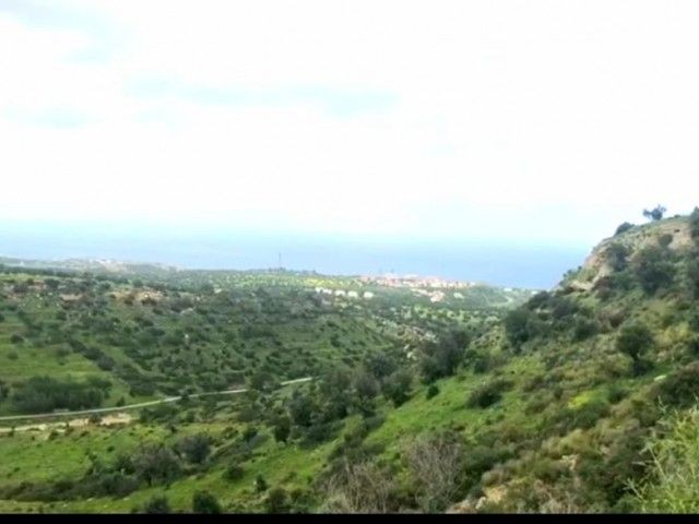 Schnäppchengrundstück mit türkischem Titel zum Verkauf in der Region Alagadi