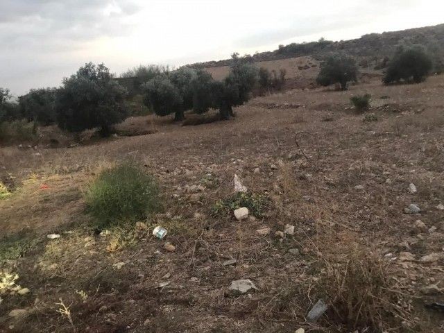 Land for Villa for Sale in Dikmen