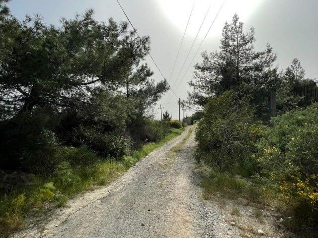 Turkish Head Land for Sale in Ağırdağ (Open for Exchange)