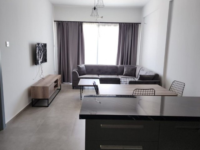 Luxury 2+1 Flats for Rent in Yenikent