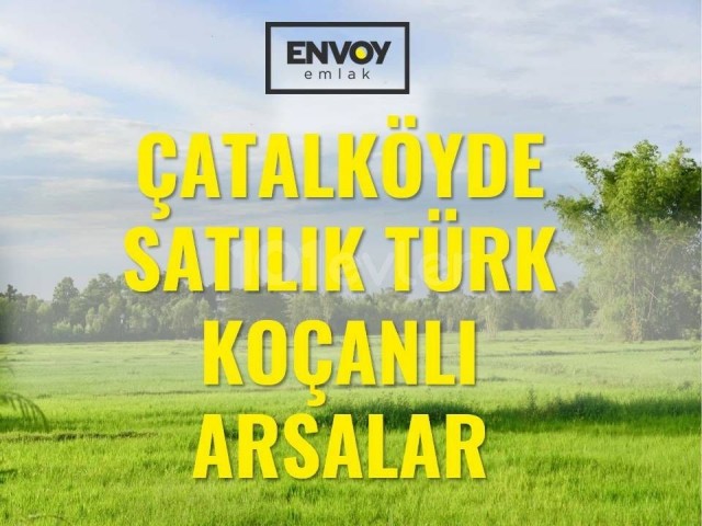 Çatalköy'de  Satılık Türk Koçanlı Arsalar