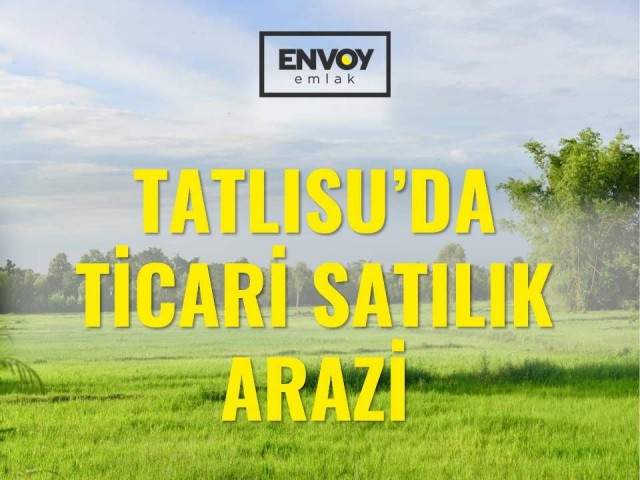 Tatlısu'da Ticari Satılık Arazi (Anayol)