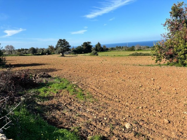 Grundstück zum Verkauf mit Zonenvillen und Meerblick in Sipahi