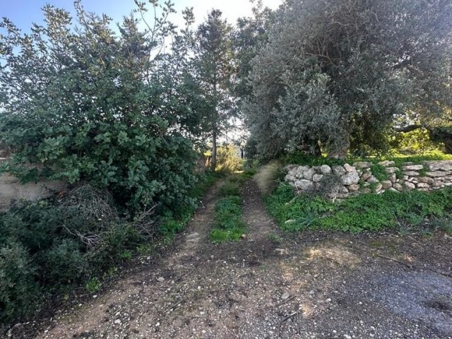 Grundstück zum Verkauf mit Zonenvillen und Meerblick in Sipahi