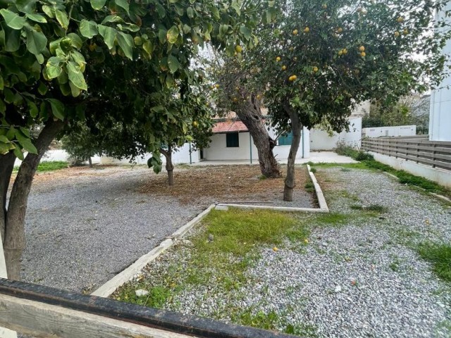 Commercial Office with a Large Garden for Rent in Dereboyu/Köşklüçiftlik