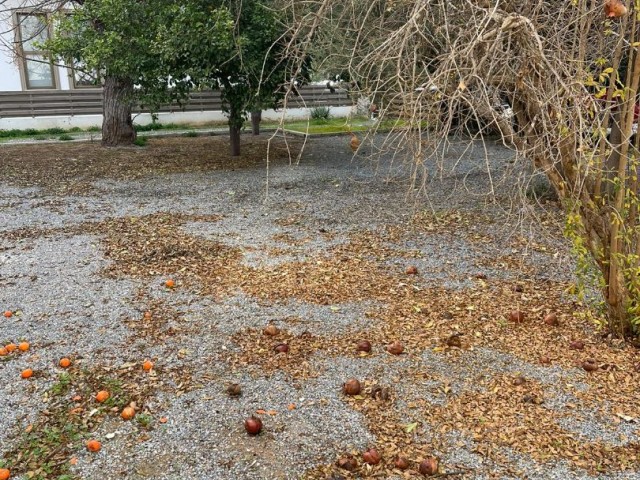 Gewerbebüro mit großem Garten zu vermieten in Dereboyu/Köşklüçiftlik