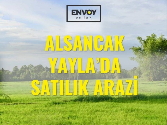 Alsancak Yayla'da Full Dağ Ve Deniz Manzaralı Satılık Arazi