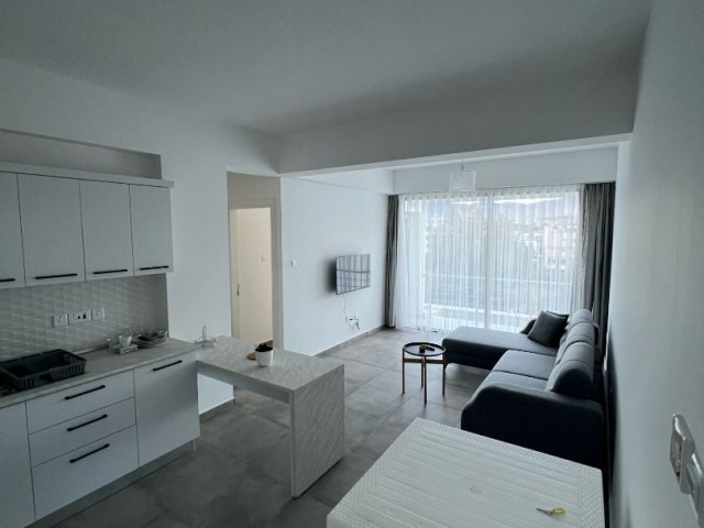Новая роскошная квартира 2+1 в аренду в районе Хамиткёй