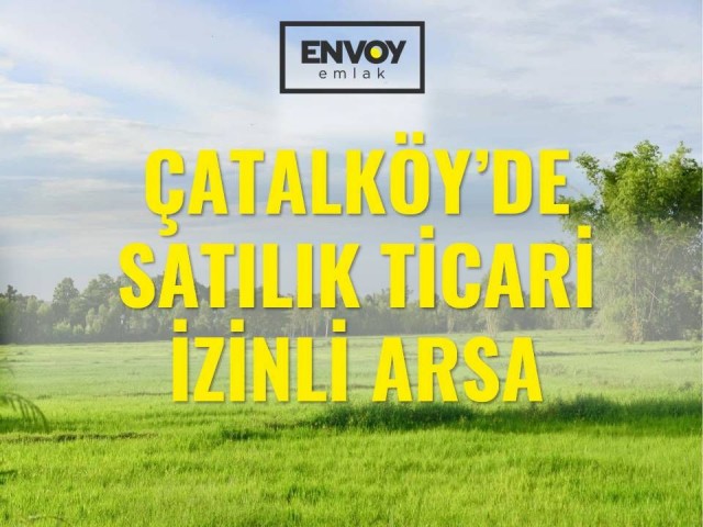 Çatalköy'de Satılık Ticari İzinli Arsa