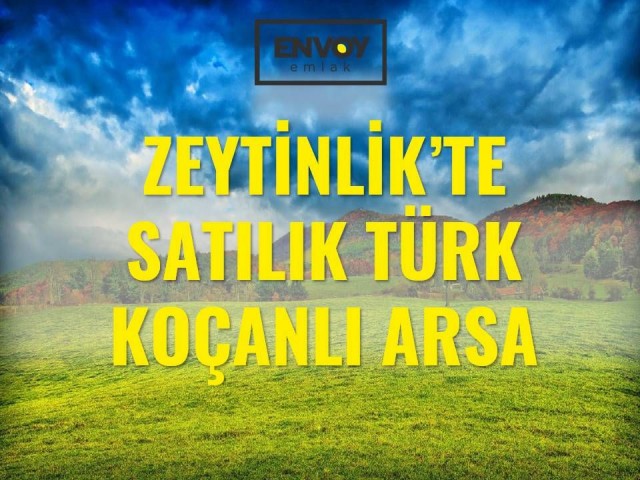 Zeytinlik'de Satılık Türk Koçanlı Arsa