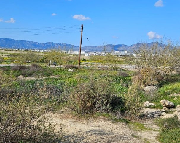 Martyr's Child Land for Sale in Metehan (Kermia) Region