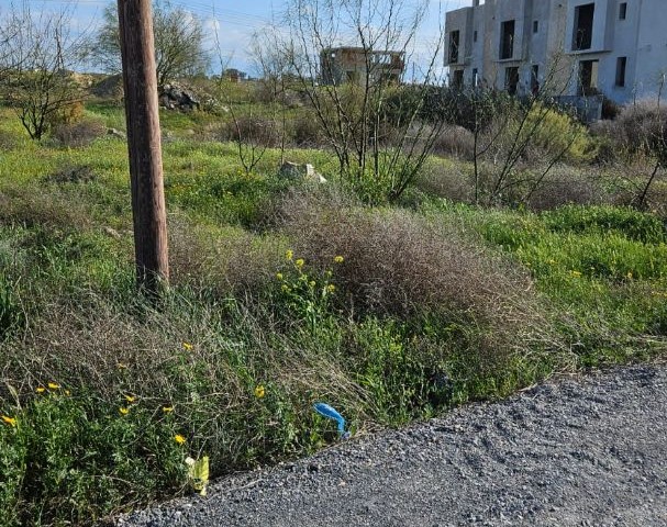 Martyr's Child Land for Sale in Metehan (Kermia) Region