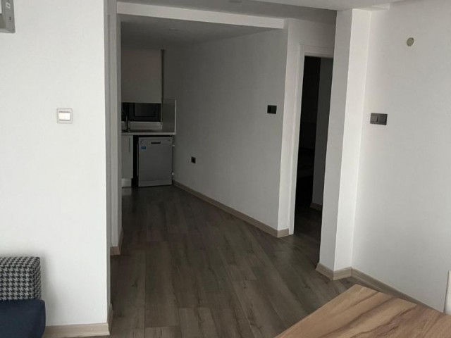 2+1 Daily Rental Flat in Zeytinlik