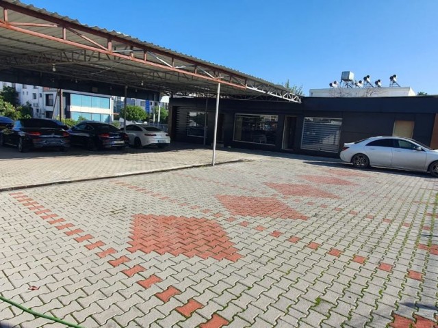 Galerie für untervermietete Autos von Karakum Lemar (Molto) in der Hauptstraße Ugur Mumcu Bulvari