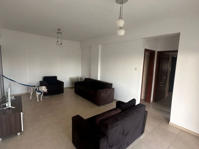 3+1 Flat for Rent in Gönyeli