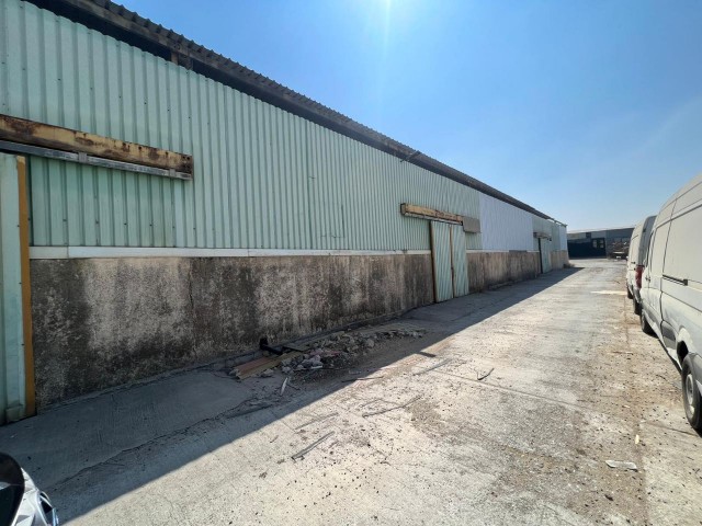 Transferred Warehouse with Warehouse Permit at Famagusta Free Port