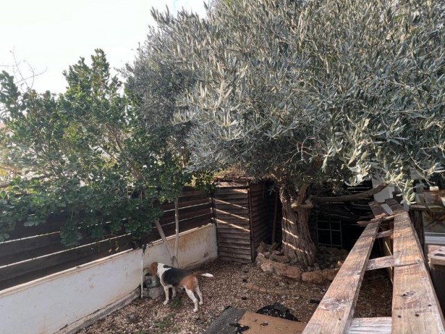 Вилла Продается in Gönyeli, Лефкоша