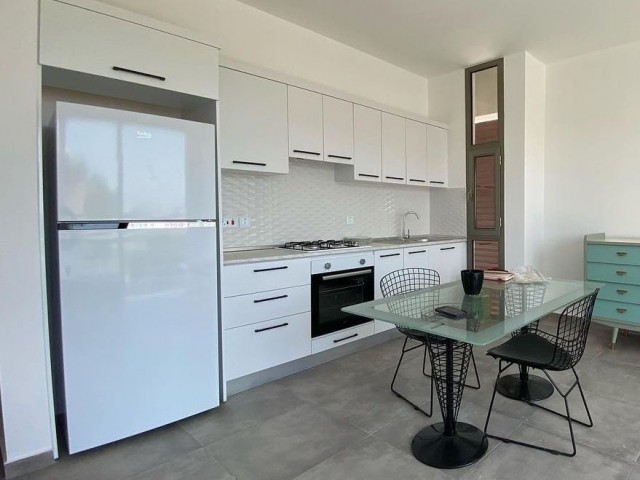 New Luxury 1+1 Flats for Rent in Nicosia Hamitköy Region