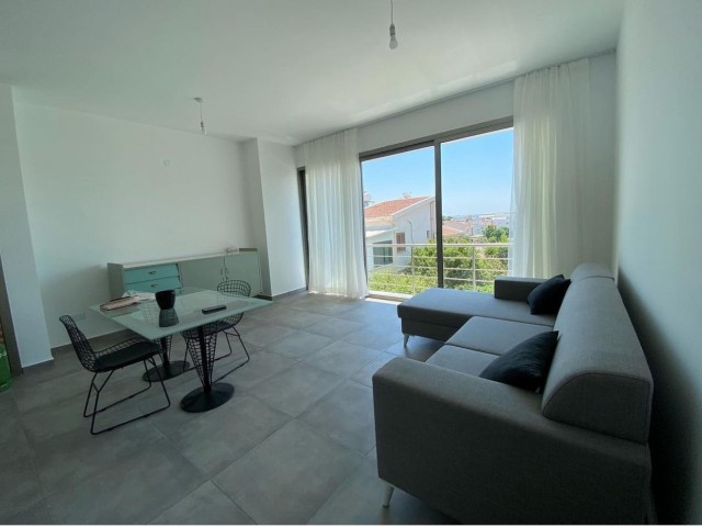 New Luxury 1+1 Flats for Rent in Nicosia Hamitköy Region