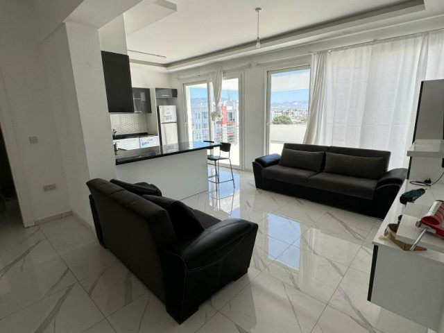 Luxus-Penthouse 2+1 Wohnung zur Miete in Nikosia Dereboyu