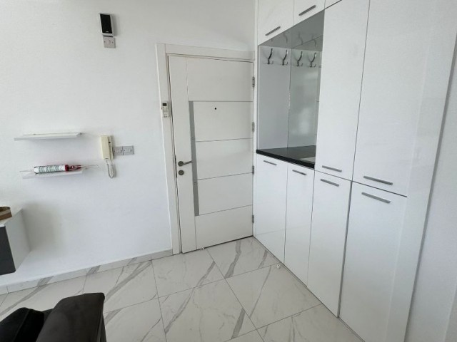 Luxus-Penthouse 2+1 Wohnung zur Miete in Nikosia Dereboyu