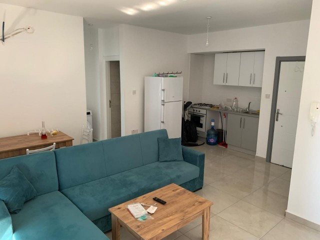 1+1 Flat for Rent in Gönyeli, Nicosia