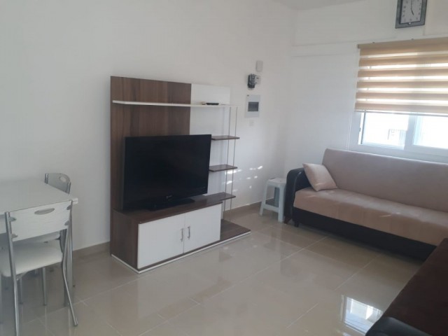 Furnished (2+1) Flat with Garden in Dikmen, 5 minutes from Near East University and 1 minute from the bus stop (+905338432139 - +905428616272)