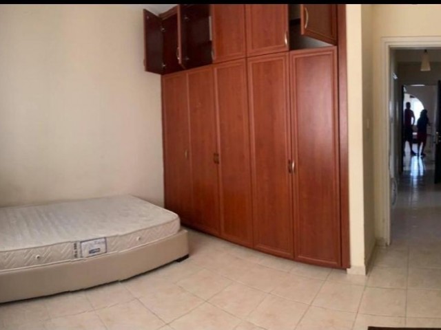 Flat To Rent in Hamitköy, Nicosia