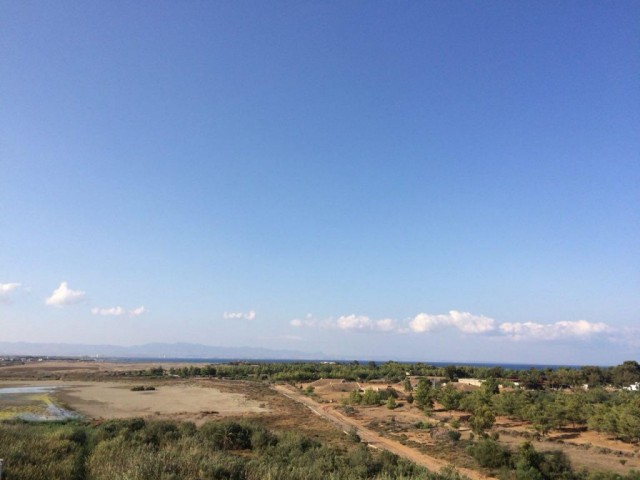 Eben Kaufen in Gülseren, Famagusta