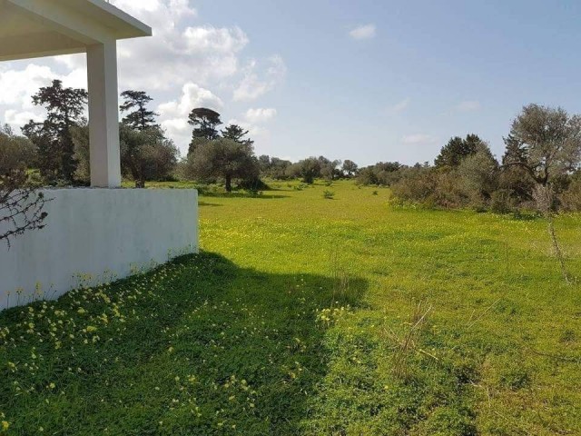 Land and Unfinished House In Yeni Erenkoy