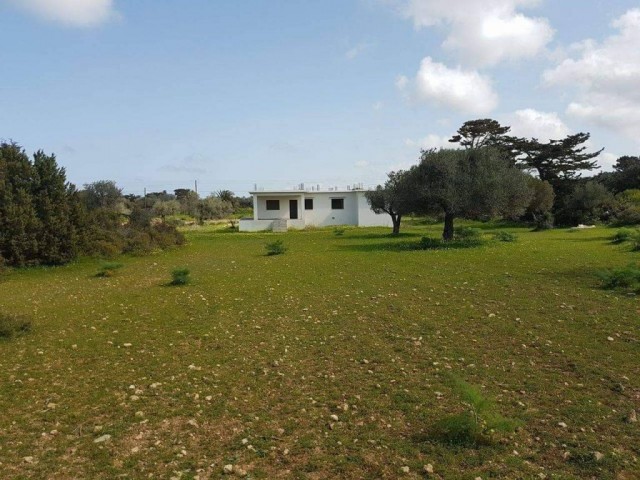 Land and Unfinished House In Yeni Erenkoy