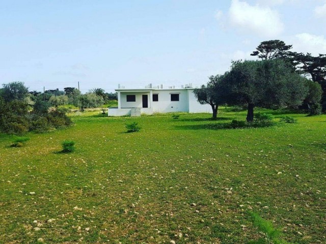 Land and Unfinished House In Yeni Erenkoy