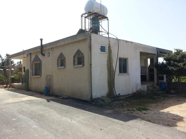 Einfamilienhaus Kaufen in Dipkarpaz, Iskele