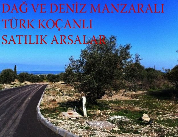 LAND FOR SALE IN ÇATALKÖY WITH TURKISH KOÇAN