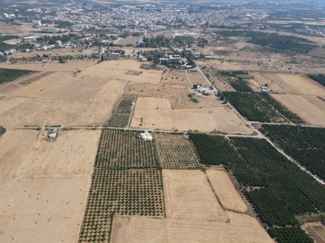 کالکانلی, ارمزلیورت ** 