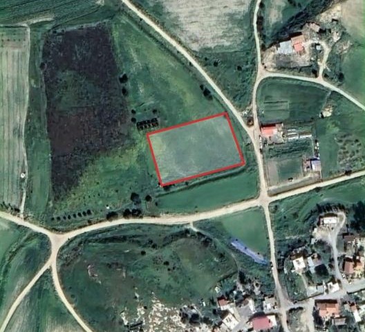 FIELD FOR SALE IN İSKELE